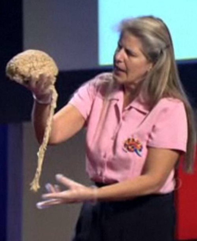 Jill Bolte Taylor - A Stroke of Insight Jill Bolte Taylor - A Stroke of Insight